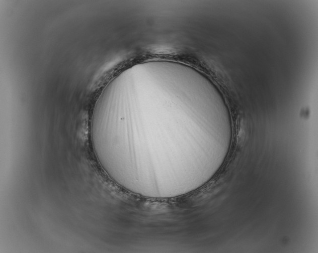 X0000112511301200909071259