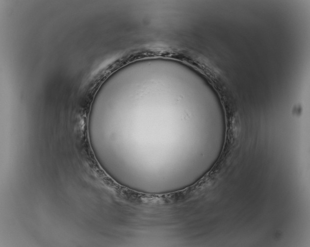 X0000112511302200909071259