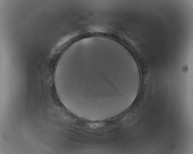 X0000112511303200909071259