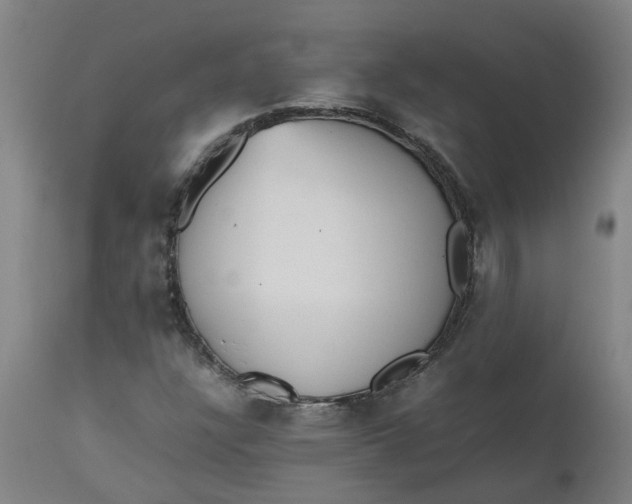 X0000112511304200909071259