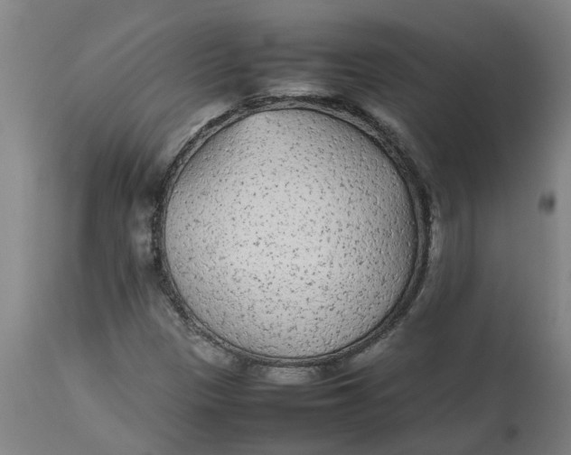 X0000112511305200909071259