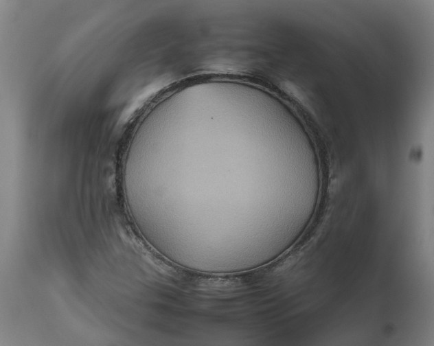 X0000112511307200909071259