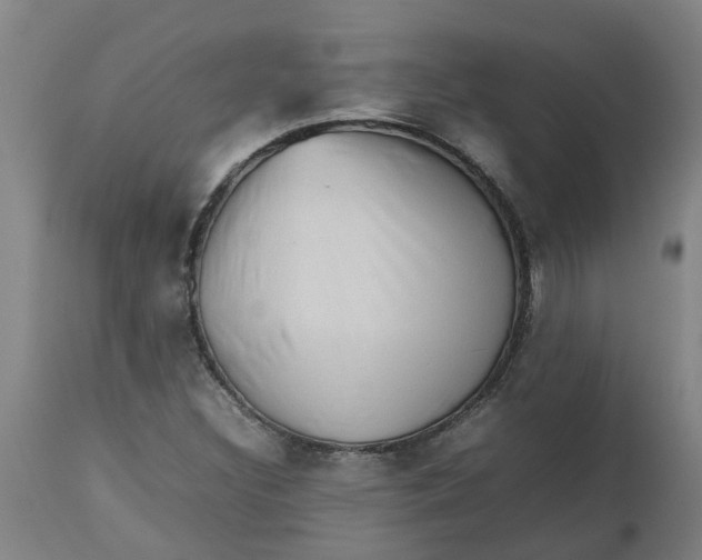 X0000112511308200909071259