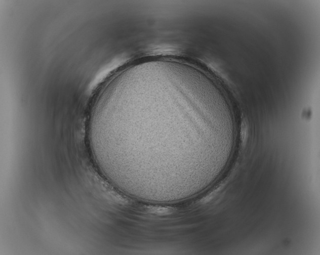 X0000112511309200909071259