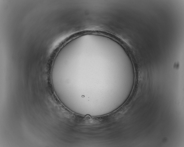 X0000112511311200909071259