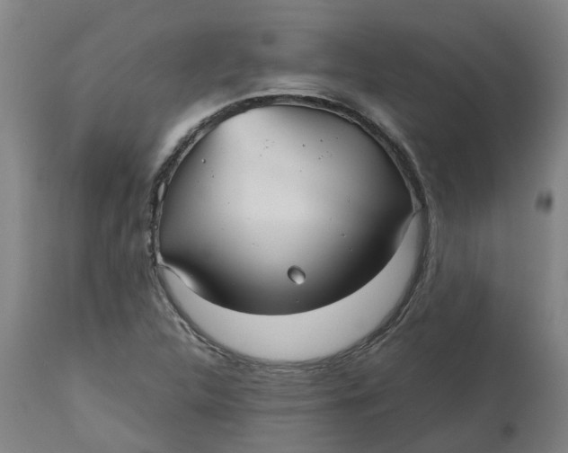 X0000112511312200909071259