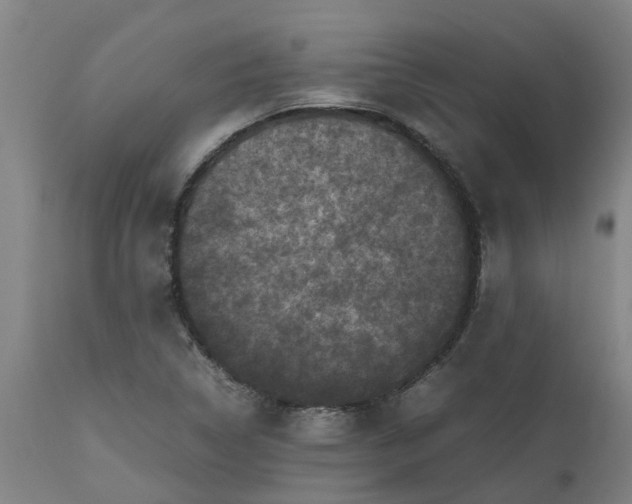 X0000112511314200909071259