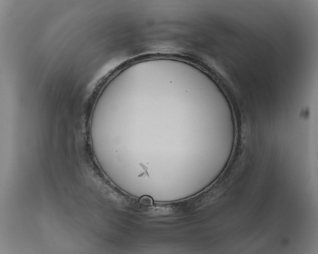 X0000112511315200909071259