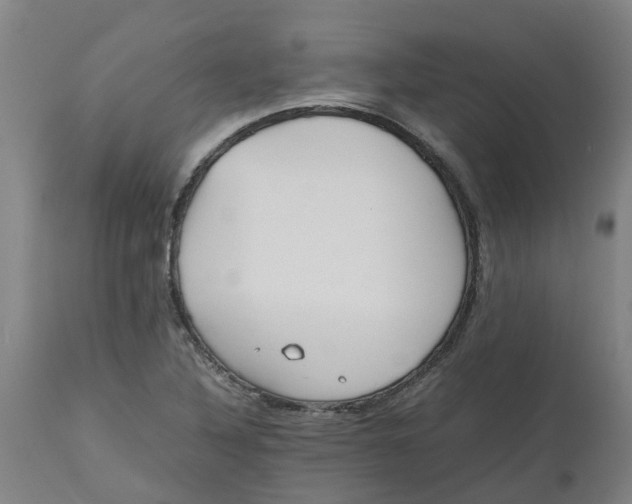 X0000112511316200909071259