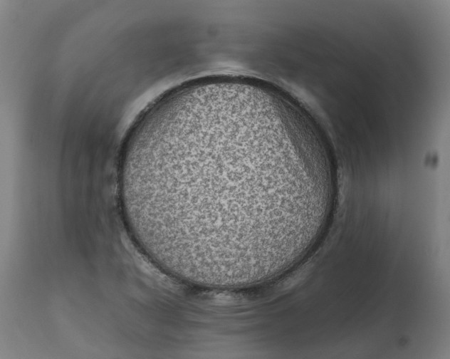 X0000112511318200909071259