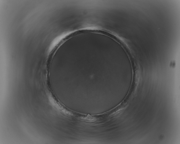 X0000112511319200909071259