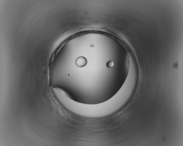 X0000112511320200909071259