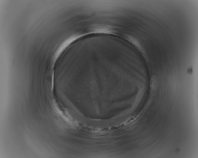 X0000112511323200909071259