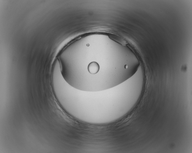 X0000112511324200909071259