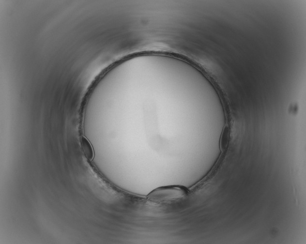 X0000112511326200909071259