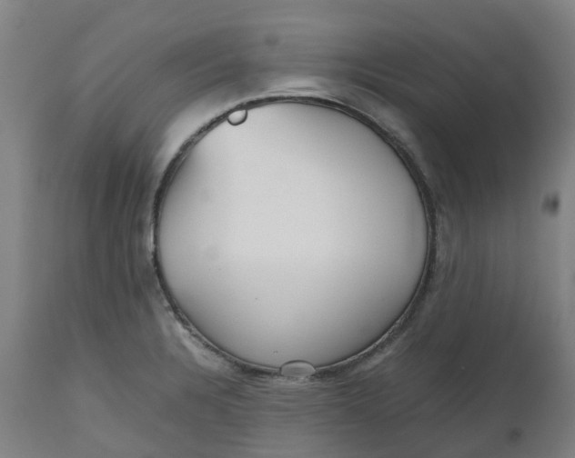 X0000112511328200909071259