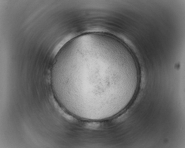 X0000112511329200909071259