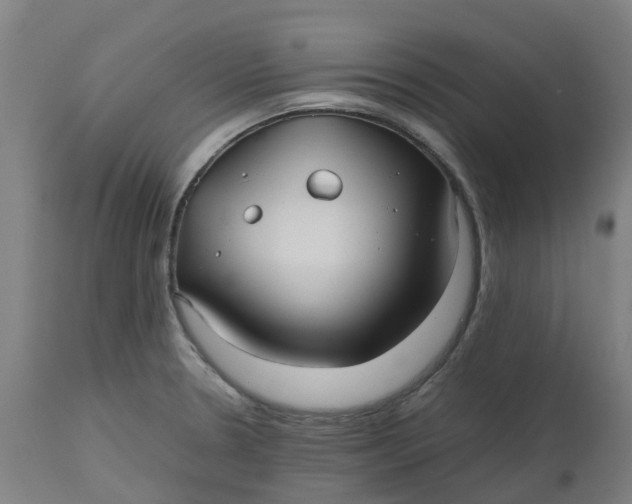 X0000112511330200909071259