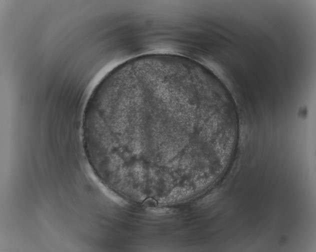 X0000112511331200909071259