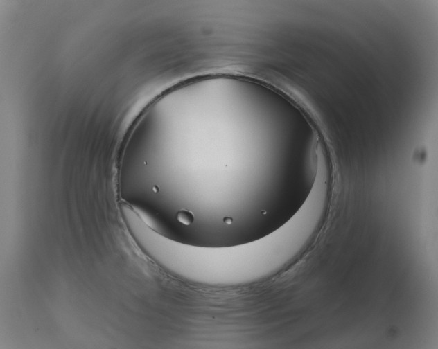 X0000112511332200909071259