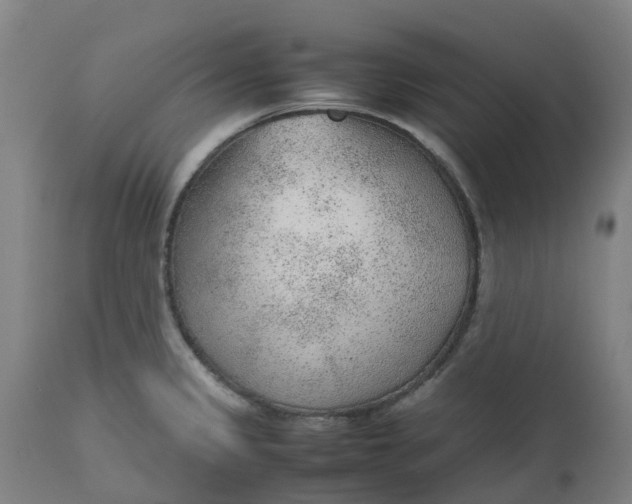 X0000112511333200909071259