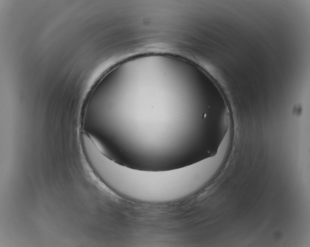 X0000112511334200909071259