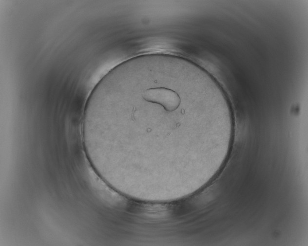 X0000112511338200909071259