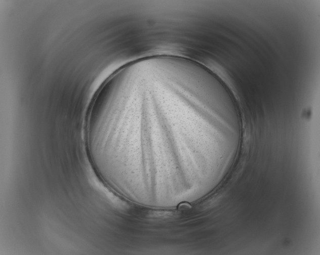 X0000112511339200909071259