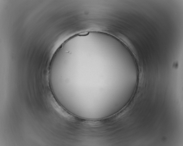 X0000112511340200909071259