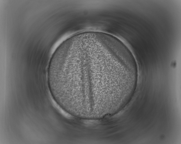 X0000112511341200909071259