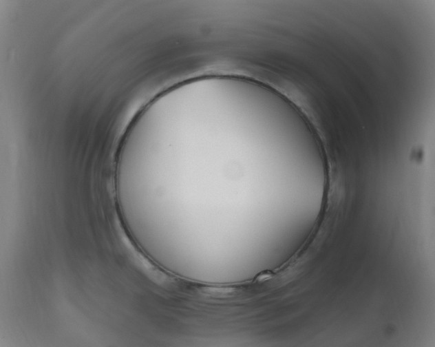 X0000112511342200909071259