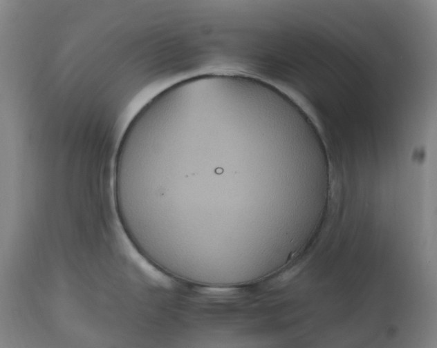 X0000112511343200909071259