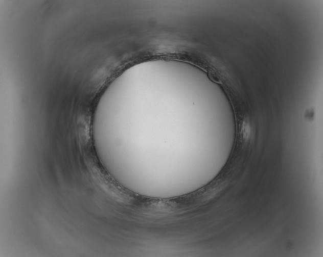 X0000112511348200909071259