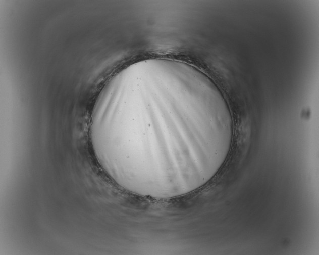 X0000112511349200909071259