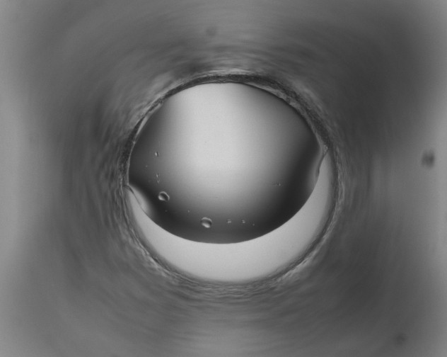 X0000112511353200909071259