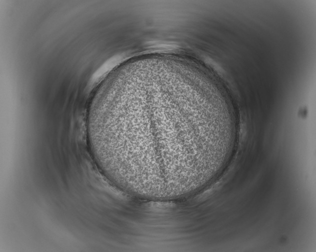 X0000112511354200909071259