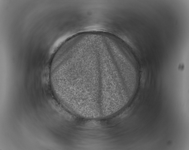 X0000112511358200909071258