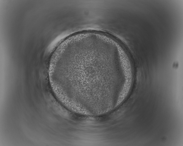 X0000112511359200909071258