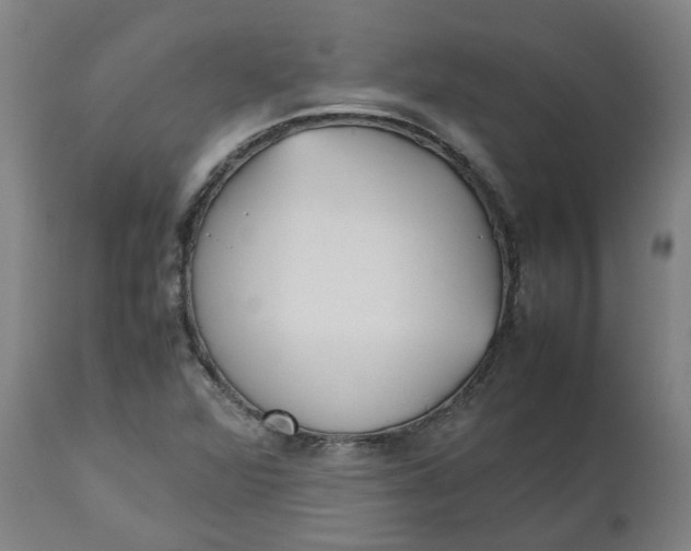 X0000112511360200909071258