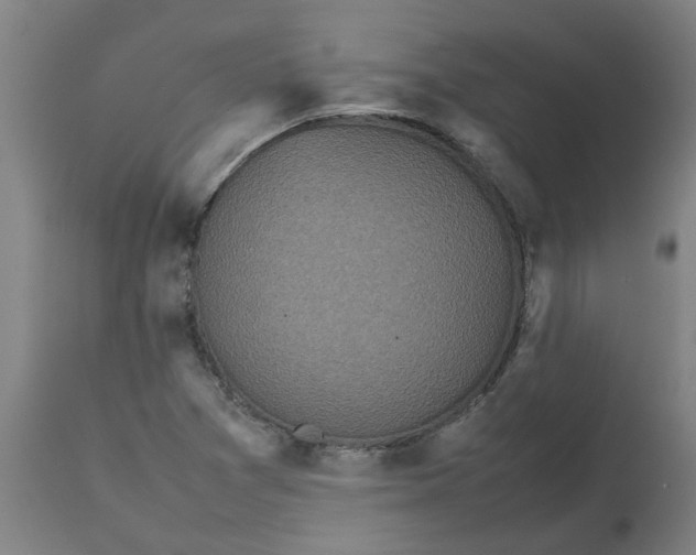 X0000112511361200909071258