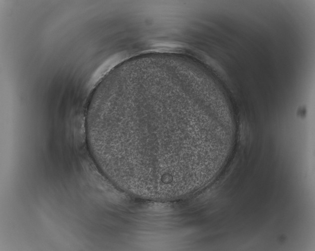 X0000112511362200909071258