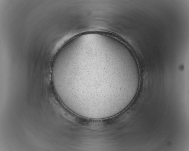 X0000112511363200909071258