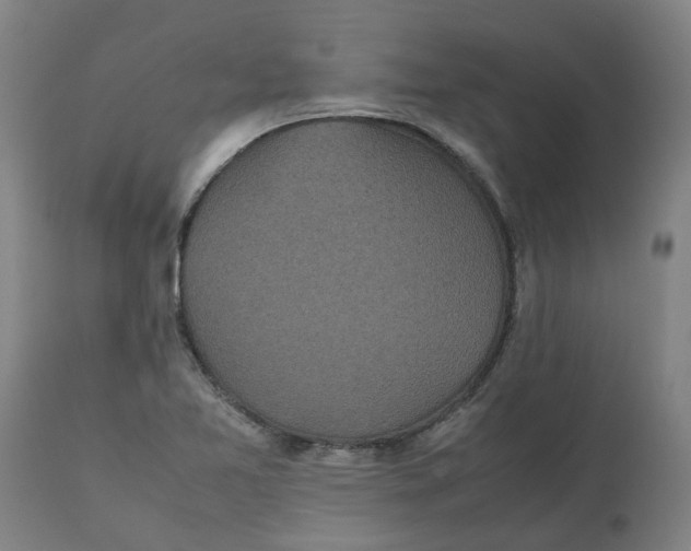 X0000112511365200909071258