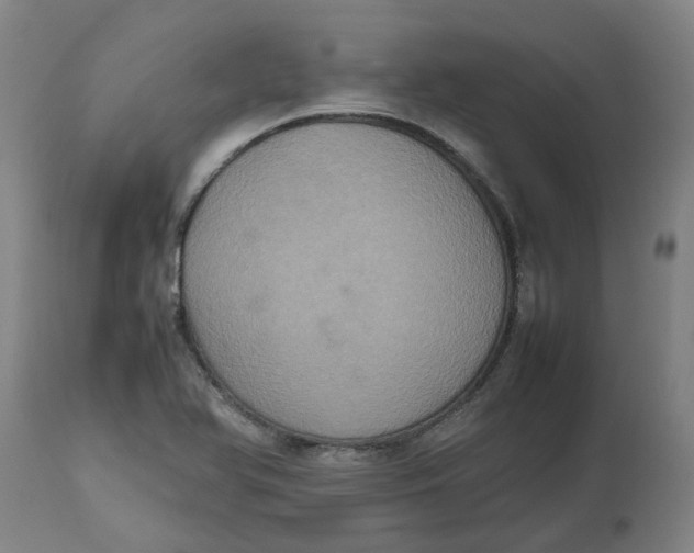 X0000112511366200909071258