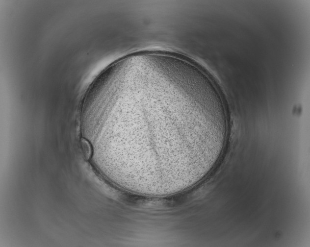 X0000112511367200909071258