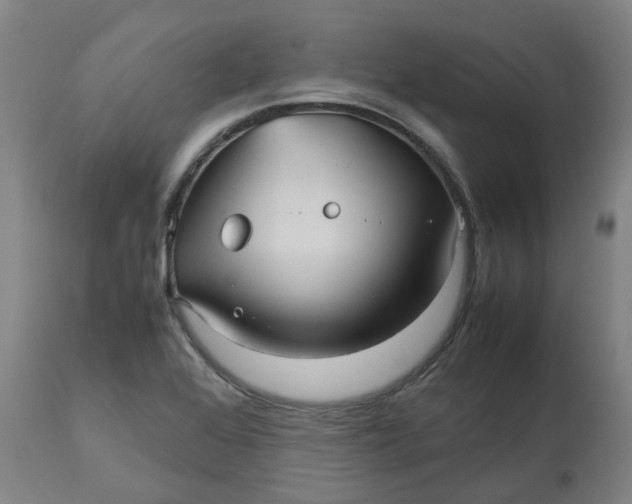 X0000112511368200909071258