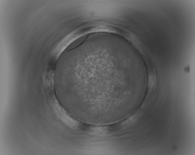 X0000112511369200909071258