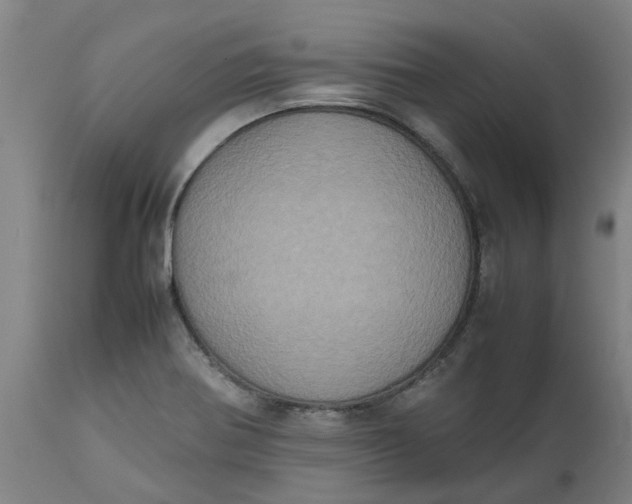 X0000112511370200909071258