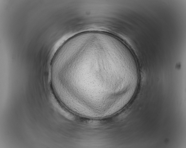 X0000112511371200909071258