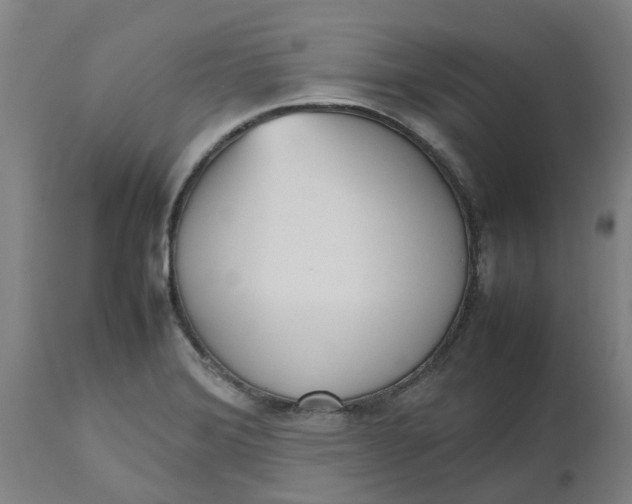 X0000112511372200909071258